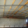 fortex